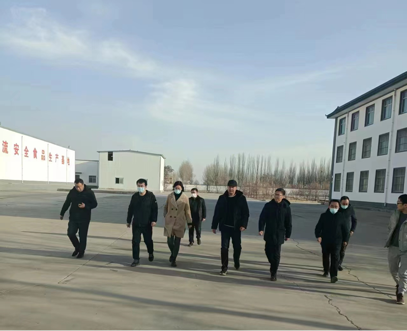 石嘴山市副市長、惠農(nóng)區(qū)委書記王宇翔蒞臨寧夏興康恒潤農(nóng)業(yè)科技發(fā)展有限公司調(diào)研
